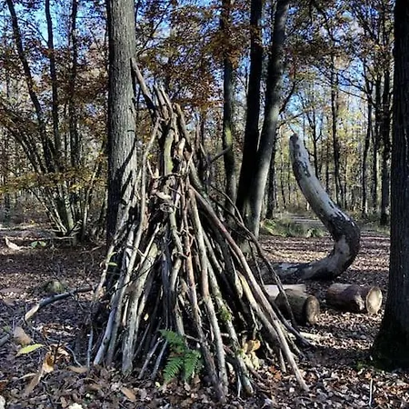 Maison De Charme Nichee Dans Le Bois Pour Vivre Une Experience Unique Saint-Rémy-lès-Chevreuse Exterior foto