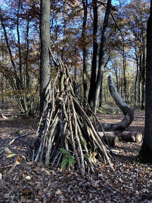 Maison De Charme Nichee Dans Le Bois Pour Vivre Experience Unique