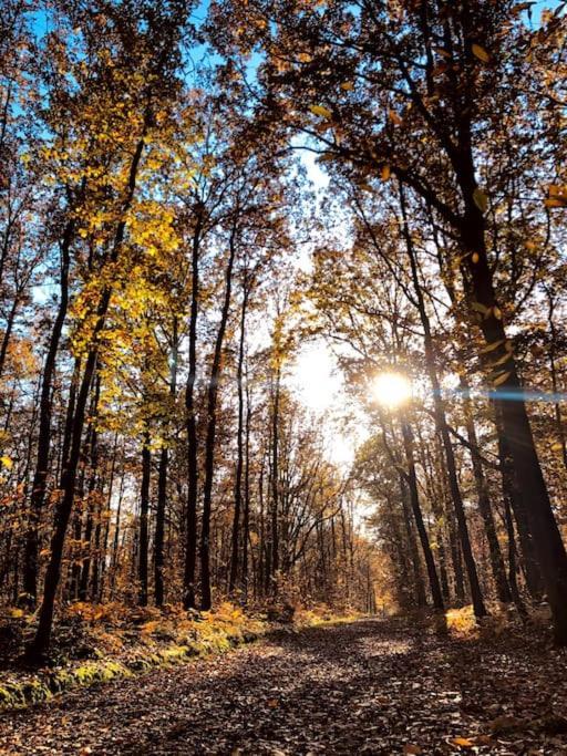 Maison De Charme Nichee Dans Le Bois Pour Vivre Experience Unique